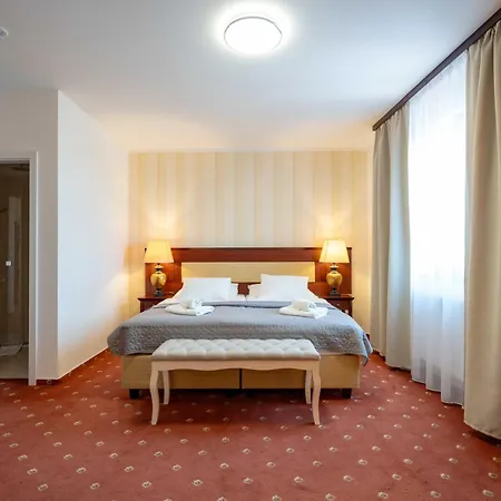 Hotel Volf