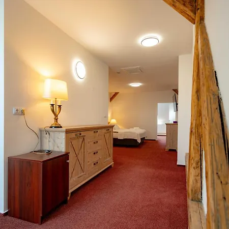 Hotel Volf *