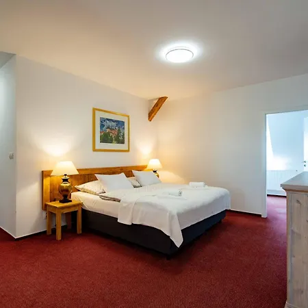 Hotel Volf *