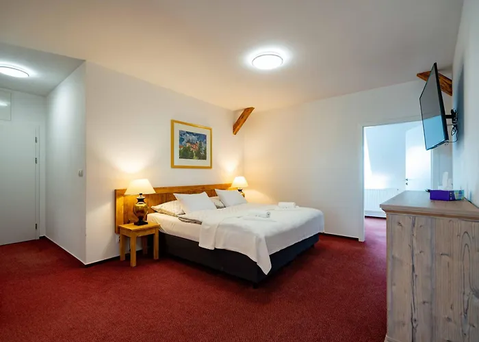 Hotel Volf *